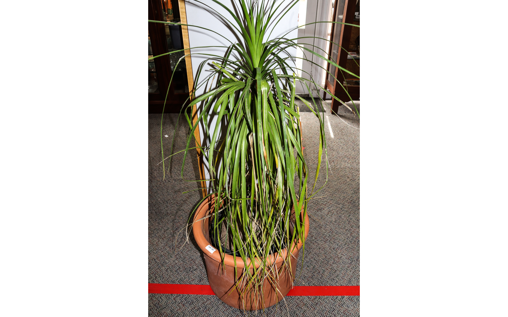 Lot 131 - Image 2